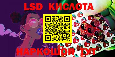дживик Лесосибирск