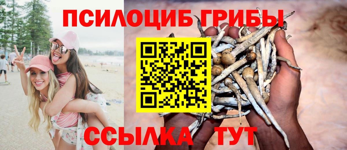 Городец  Псилоцибиновые грибы ЛСД  Вход с VPN 