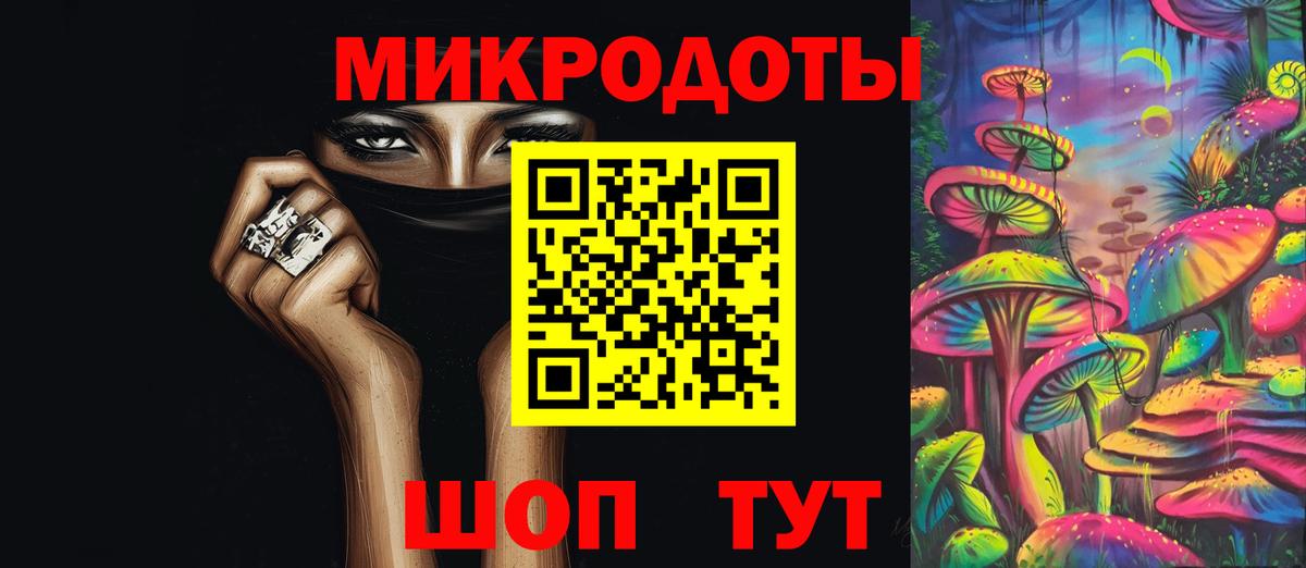Псилоцибиновые грибы Cubensis Городец